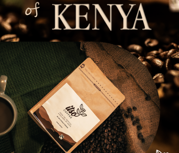 Itso Coffee